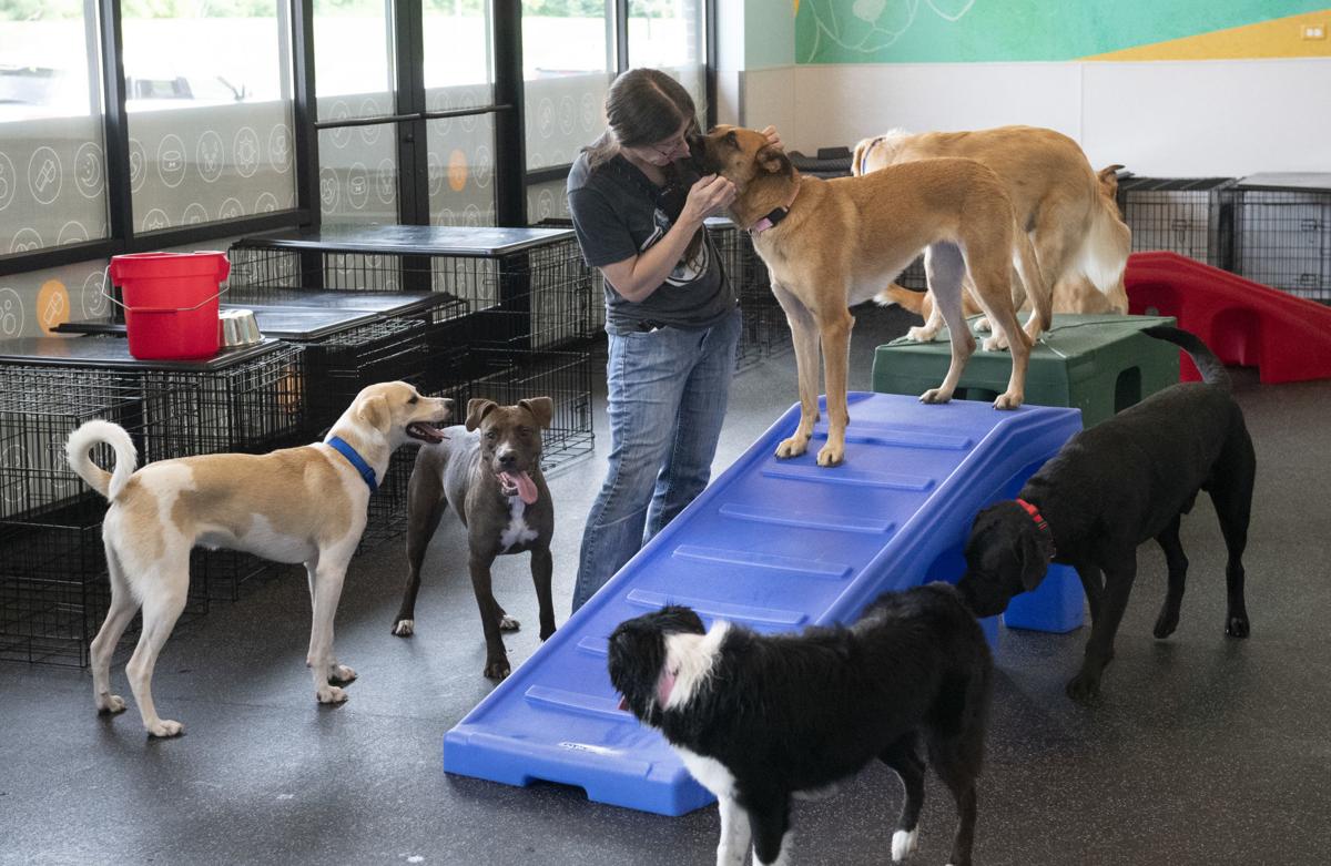 Daycare