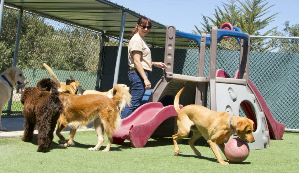 Daycare