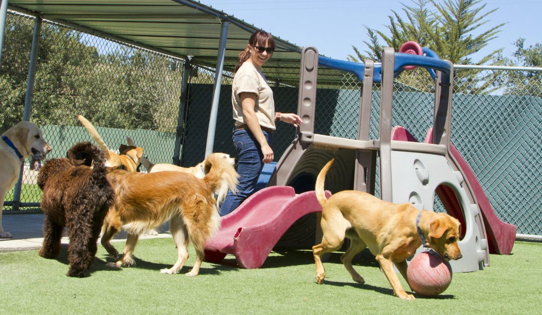 Daycare