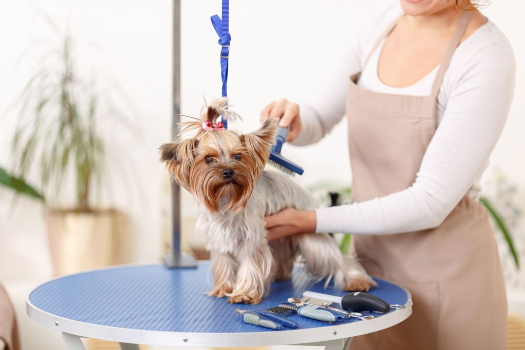 Grooming