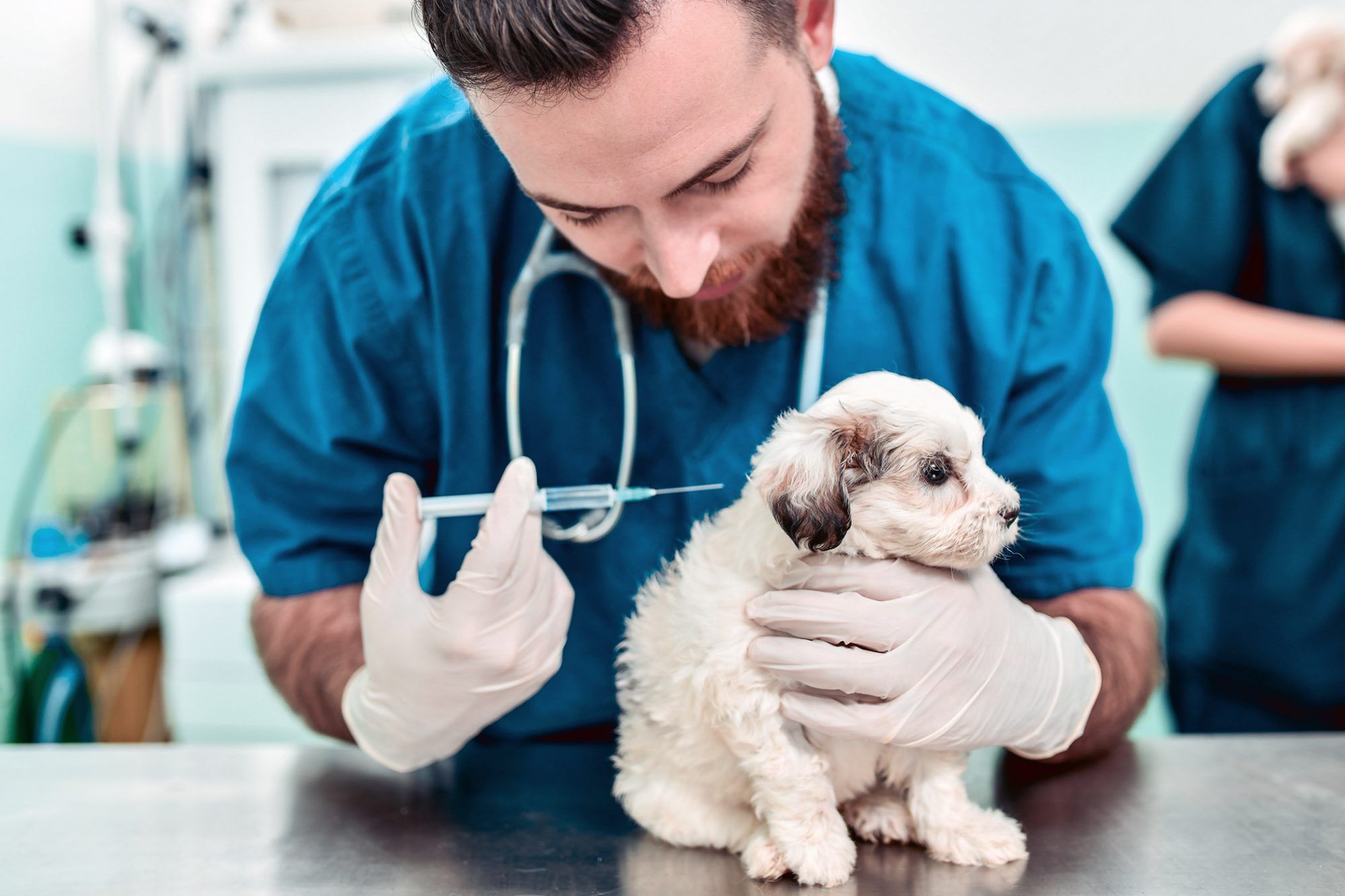 Puppy Shots